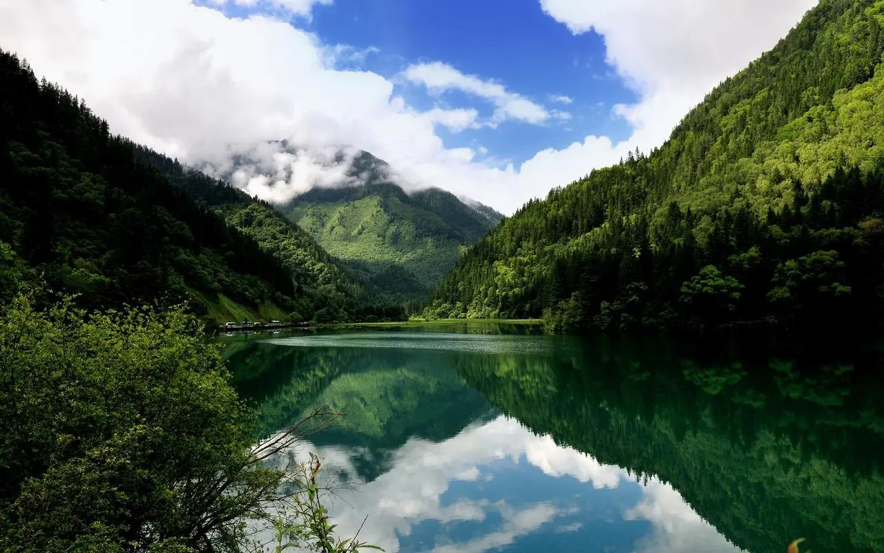 高效智慧